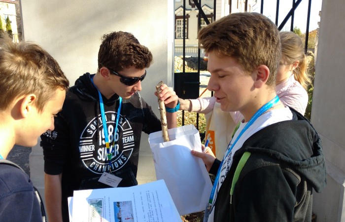 IMG_20181031_101437742