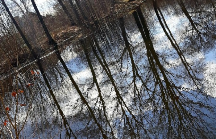 Woda - nasz skarb - Jadwiga Rembisz klasa 1b (1)