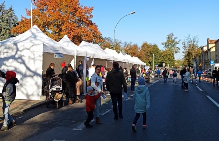 246405076_1557641874572149_324309031585129326_n