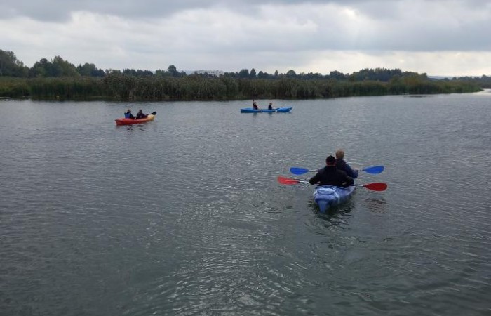 MicrosoftTeams-image (8)