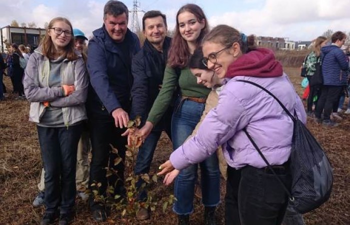 zielone-miasto-intro