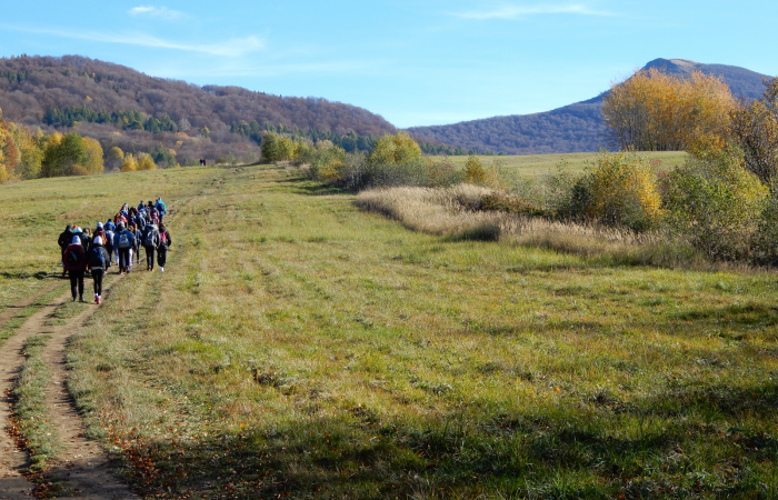 MicrosoftTeams-image (36)