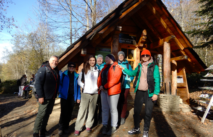 MicrosoftTeams-image (38)