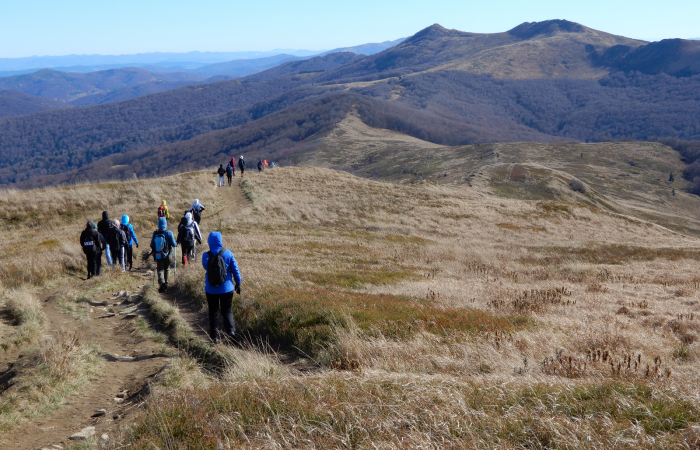 MicrosoftTeams-image (44)