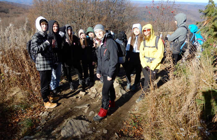 MicrosoftTeams-image (45)