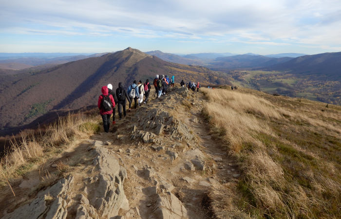 MicrosoftTeams-image (46)