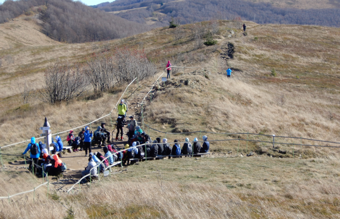 MicrosoftTeams-image (47)