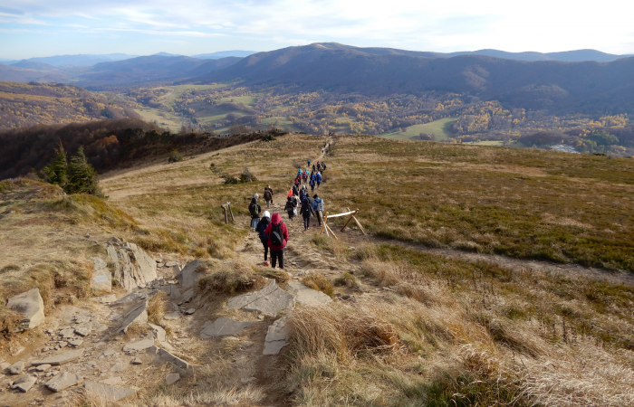 MicrosoftTeams-image (48)