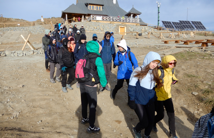 MicrosoftTeams-image (49)