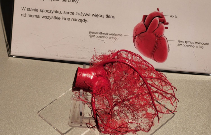 MicrosoftTeams-image (91)