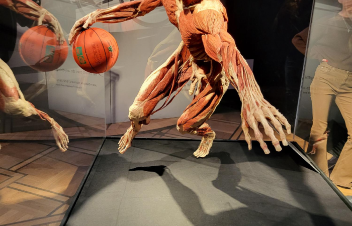 MicrosoftTeams-image (96)