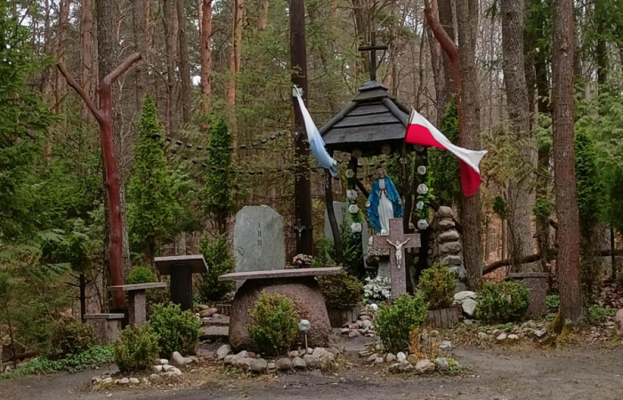 MicrosoftTeams-image (88)