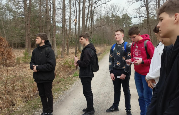 MicrosoftTeams-image (89)