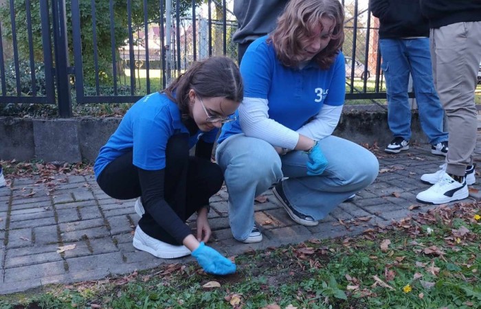 387637879_1251385172194680_4590044802234887943_n