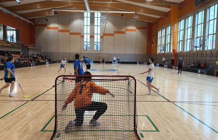 MicrosoftTeams-image (1)