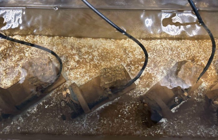 462555131_905571064880009_3435493636249346416_n