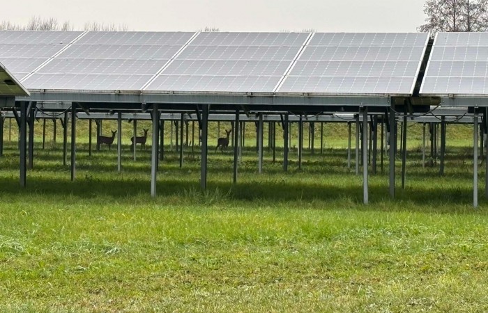 462563938_1759452387792366_9015721320193601245_n