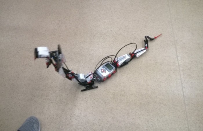 WP_20161124_10_02_00_Pro (2) (1)